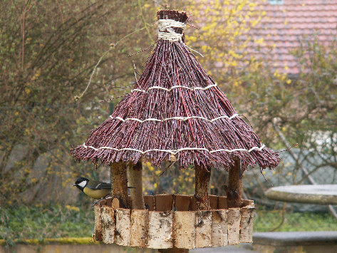 Les oiseaux de nos mangeoires Mangeoire%2080x60