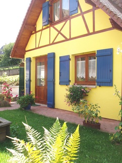 Gite en Alsace - Fougeres et Geraniums