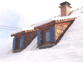 Gite en Alsace - Chiens assis
