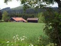 un gite dans les Vosges, proche de Grardmer