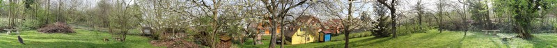 Vue paroramique du verger derriere le Gite en Alsace au printemps