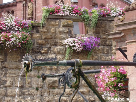 Eguisheim - la fontaine- Photo G.GUYOT