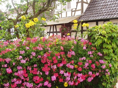 Seebach, un superbe village en alsace - Photo Gte en Alsace