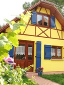 Gite en Alsace - Vue depuis la vigne