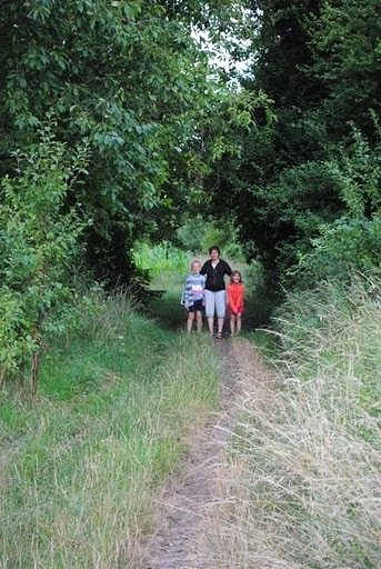 Derriere le Gite en Alsace, une colline de vieux vergers pour s'y promener