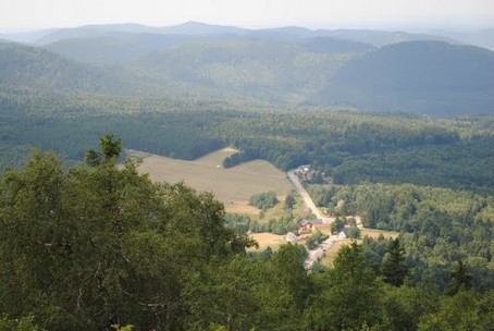 Quelques vues depuis le sommet du Donon