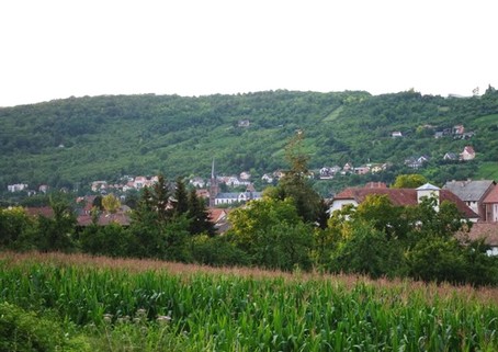 et dcouvrir le village de Mutzig au milieu de la verdure