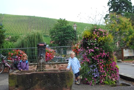 Quelques fleurs  Riquewihr