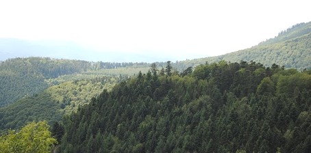 Vue de la fort du Nideck depuis les ruines du chteau