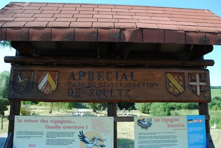 Le parc  cigognes de Soultz