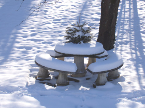 Sapin de Nol sous la neige - le 25-1-07