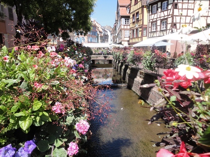 Colmar