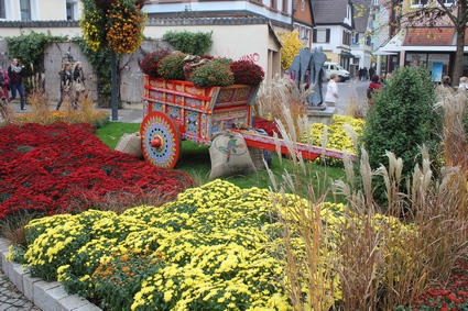 Lahr Fte de la chrysantme