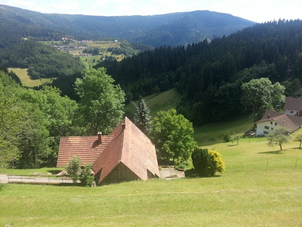 Renchthalhütte à Bad Peterstal