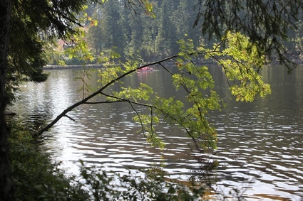 Mummelsee e Forêt Noire