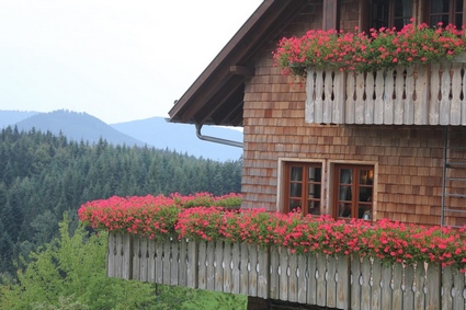 Renchtalhtte sur les hauts de Bad Peterstal