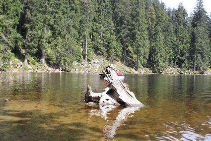 Mummelsee en Forêt Noire