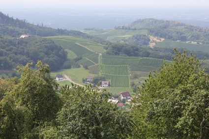 Sasbachwalden en forêt noire