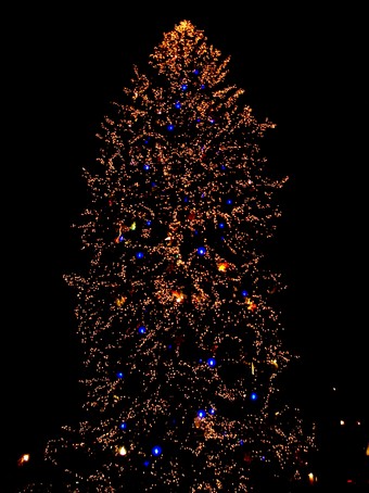 Le grand sapin place Kleber - Marchés de Noël à Strasbourg