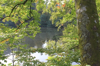 Lac de Retournemer