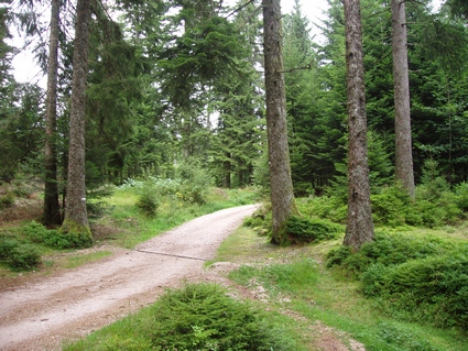 Autour du Lac de Grardmer