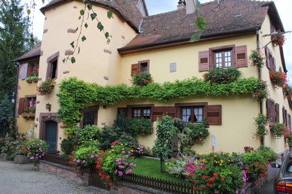 Mariage de l'ami Fritz  Marlenheim - Maisons de Marlenheim