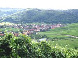 Riquewihr