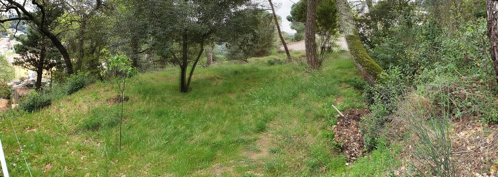 Palier du haut du terrain  vendre  Bagnols sur Cze- vue vers le sud