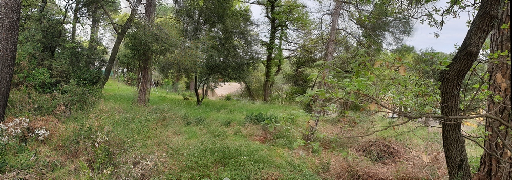 palier du haut-3 du terrain  vendre  Bagnols sur Cze