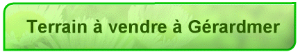 Terrain  vendre  Grardmer