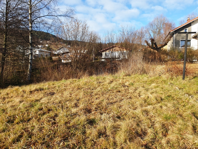 Terrain à vendre à Gérardmer - le haut de la parcelle 163