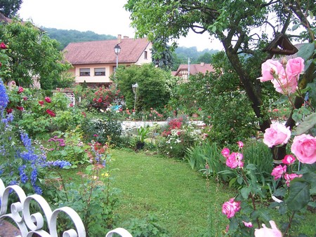 La rue des roses,  Mutzig - Gites Alsace