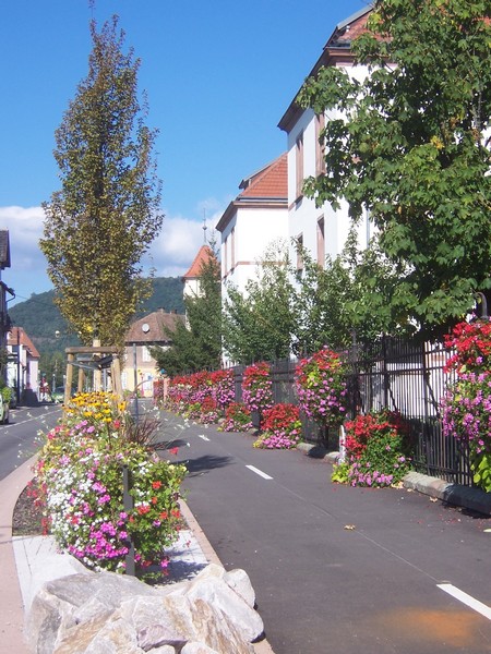 Route de Strasbourg  Mutzig - Gites Alsace