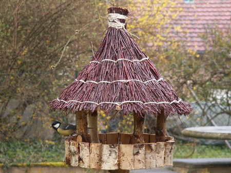 Msanges dans la mangeoire  cot du "Gite en Alsace"