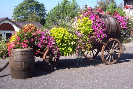 Mutzig, route de Strasbourg, en Alsace - Gites Alsace