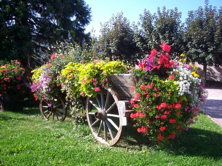 Mutzig, route de Strasbourg, en Alsace - Gites Alsace