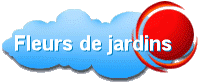 Fleurs de jardins